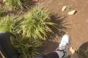WNBA纽约自由人vs洛杉矶火花_WNBA纽约自由人vs洛杉矶火花全部赛程直播_WNBA纽约自由人vs洛杉矶火花免费高清回放
